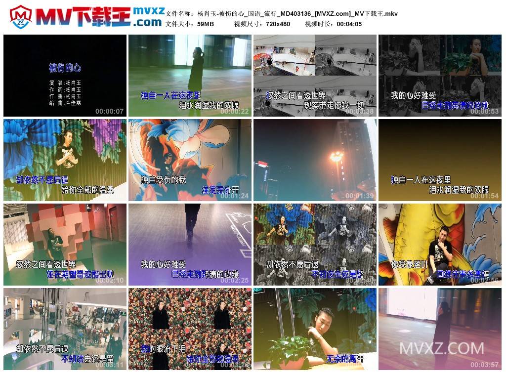 杨肖玉-被伤的心_国语_流行_MD403136